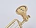 Rozinsanitary Gold Finish Soap Dish Holder Wall Mounted Soap Basket