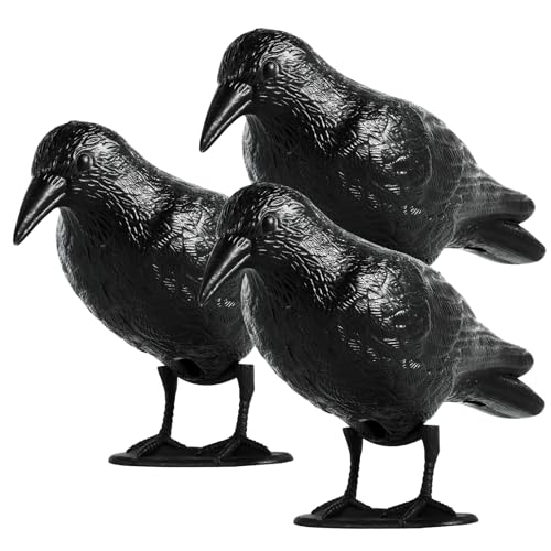 Top-Deal gesichtet! Qualität zum fairen Preis – OFFO Taubenschreck Schwarz Rabe heute nur 18,99€. Gleich mal ansehen!