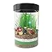 Terrarium Kit for Kids - Girls or Boys Science Kits - Stem Toys With Light Up Night Lights - DIY Craft Educational Garden Discovery Toy For Age 4 5 6 7 8 9