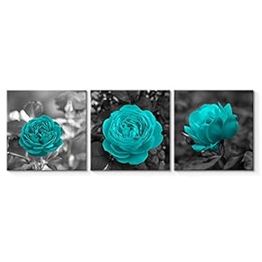 SIGNFORD 3 Piece Canvas Wall Art for Living...