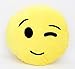 Emoji Pillows, Plush Cushion with Various Emoticon Expressions Faces Moods. Random Assorted Styles and Designs. Styles and Designs Will Vary at Random When Shipped by Amazon or by Perfect Life Ideas