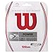 Wilson Synthetic Gut Power Tennis String