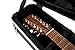 Gator Cases Deluxe ABS Molded Case for 12-String Acoustic Guitars; Fits Dreadnaught Styled 12-String Acoustic Guitars (GC-DREAD-12)