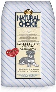 nutro choice puppy