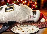 Avanti Press Christmas Cards, Fat Cat & Cookie Crumbs, Count of 20 (32758)