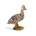 Schleich Duck Toy Figure