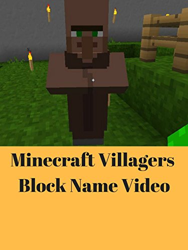 Minecraft Villagers Block Name Video