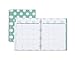 Blue Sky 2017-2018 Academic Year Weekly & Monthly Planner, Twin-Wire Bound, 8.5
