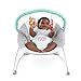 Bright Starts Disney Baby Winnie The Pooh Happy Hoopla Vibrating Bouncer