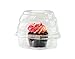 Katgely Cupcake Boxes Cupcake Containers for Individual Standard Cupcake, Set of 45