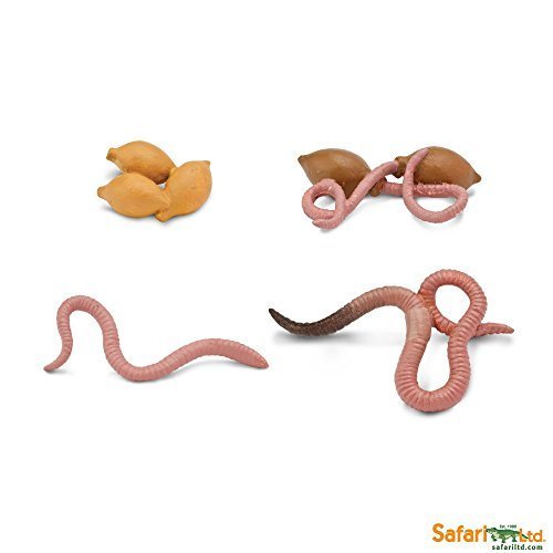 Buy Safari Ltd Life Cycle of a Worm by Safari Ltd. Online at ...