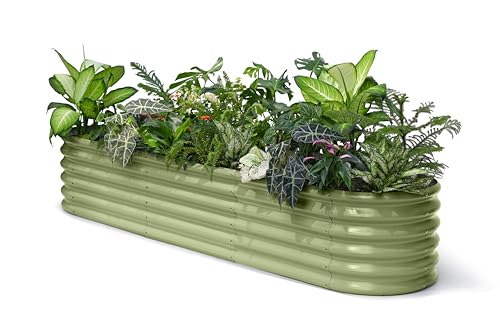 8x2x1 Galvanized Raised Garden Bed 18 Tall Metal