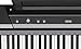 Korg 88-Key Digital Pianos - Home SP170SBK2