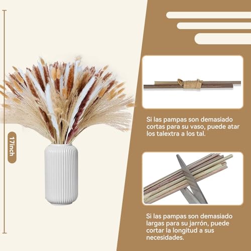 120PCS Decoración de Hierba de Pampas Secas Naturales,Colas de Conejo de Hierba Natural de la Pampa,Decoraciones de Hierba de Pampa Seca,Ramo de Hierba Carrizo para Sala de Estar,Cocina,Boda,Fiestas