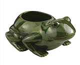 Ceramic Frog Planter