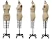 Professional Female Half Body Dress Form With Collapsible Shoulder And Arm (Size 12)