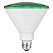 TCP 14W LED Emerald Green PAR38 Spot Light Bulb, 90W Equivalent/Replacement