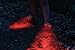 Uncle Milton - National Geographic - Expedition Shoe Lights