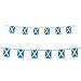TSMD Scotland Flag, 100 Feet Scottish Flag National Country World Pennant Flags Banner,Party Decorations for Grand Opening,Olympics,Bar,School Sports Events,International Festival Celebration