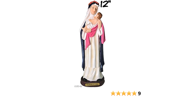 Amazon.com: 12 \