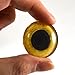 Yellow Owl Eye in 25mm 1 Inch for Taxidermy Sculptures or Jewelry Making Pendants Crafts Art Doll Wire Wrapping DIY Flatback Cabochon