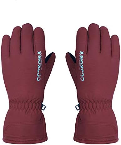 Liuxiaomiao Winter Skiing And Snowboarding Gloves - Waterproof And Snowproof Gloves Skiing, Snowboarding, Shovel - Nylon Casing, Insulation Suitable For Men And Women (Color : Jujube)