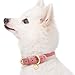 Blueberry Pet Leather Dog Collar for Large Dogs - Pink & Grey Classic Striped Design, Large Size 18