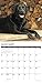 Just Black Labs 2019 Wall Calendar (Dog Breed Calendar)