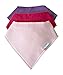 Baby Bluebird Soft Bandana Drool Bibs, 3-Pack Larger Size, Purple and Pinks Gift Set