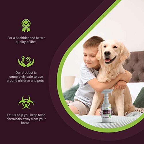 mdxconcepts Organic Flea and Tick Control Spray for Dogs Made in USA