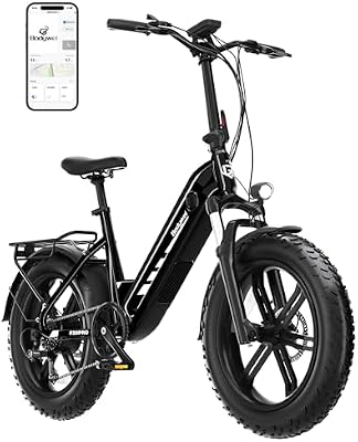 F20pro 4.0 Fat E Bike è una bicicletta elettrica da 250W con batteria da 48V freni idraulici funzione APP Città bici elettriche uomini e donne (F20PRO 20AH Nero)