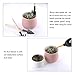 EBOOT 13 Pieces Mini Garden Hand Tools Transplanting Tools Succulent Tools Miniature Planting Gardening Tool Set