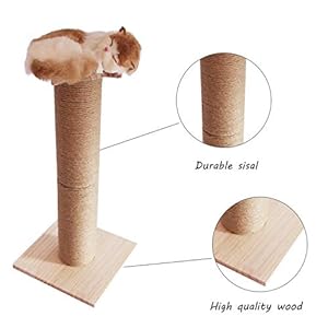 Conysan Fai da Te Tiragraffi per Gatti Scratching Cat Tree Gatto Albero Legno Naturale Beige Facilmente Montato Grande… Conysan Conysan Fai da Te Tiragraffi per Gatti Scratching Cat Tree Gatto Albero Legno Naturale Beige Facilmente Montato Grande…