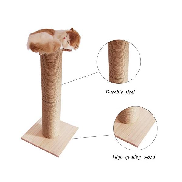 Conysan Fai da Te Tiragraffi per Gatti Scratching Cat Tree Gatto Albero Legno Naturale Beige Facilmente Montato Grande… Conysan Conysan Fai da Te Tiragraffi per Gatti Scratching Cat Tree Gatto Albero Legno Naturale Beige Facilmente Montato Grande…