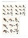 The Beginner's Guide to Chinese Painting: Birds and Insects