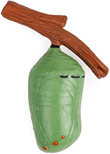 Sureema 4 pcs Butterfly Realistic Animal Life Growth Cycle Biological Model Figure Toys, Farm Animal Growth Model Figure Cake Toppers Educational Toys 30 Pcs Taxidermy Butterfly Real Butterfly Specimen Artwork Material