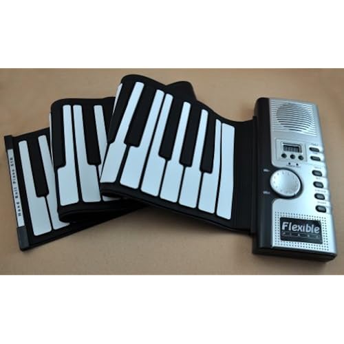 Musical Instruments, Keyboards & MIDI, Electronic Keyboards, Portable Keyboards