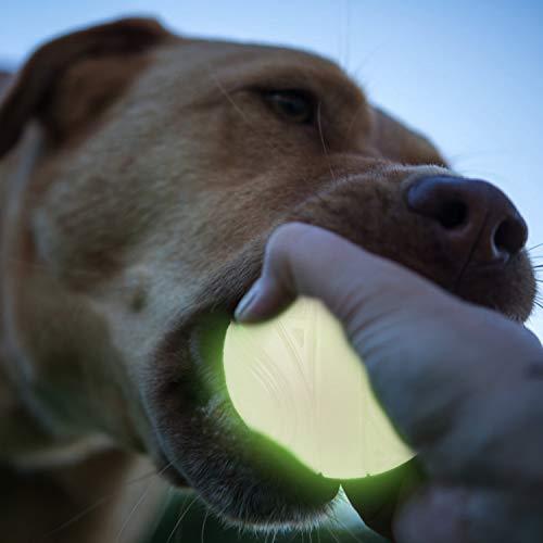 glow in the dark dog ball