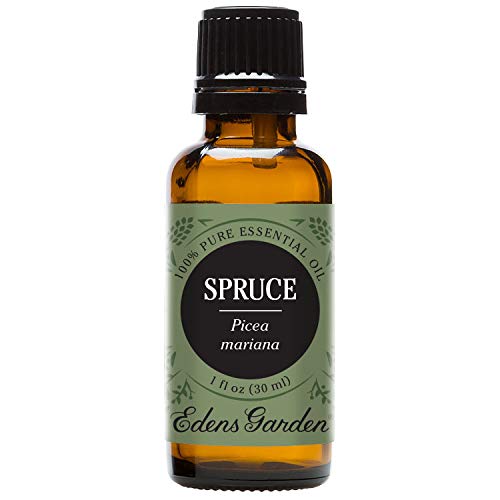 Edens Garden Spruce 100% Pure Therapeutic Grade Essential Oil, 30 mL