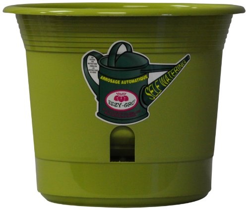 Eezy-Gro Self-Watering Planter, 8-Inch, Margarita
