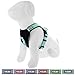 Pawtitas Reflective Dog Harness Padded Dog Harness Provides Comfort Control for a Walk or Running Great Pet Accessories Dog Vest S Small Teal Dog Harness