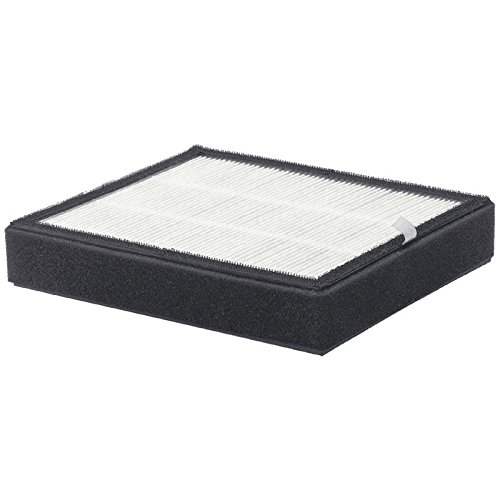 PureGuardian Air Purifier Replacement Filter