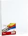 Artlicious Canvas Panels 12 Pack - 11"X14" Super Value Pack- Artist Canvas Boards for Painting primary