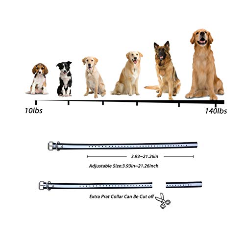 image for OKPET Dog Training Collar [NEW 2019], 2000ft Range Antenna Adjustable 