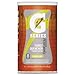 Gatorade 13163 Instant Powder Sticks, Lemon/Lime, 20 oz. (Pack of 64)