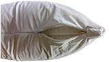 Assure Sleep Waterproof Zippered Encasement, Dust Mite & Allergy Control, Bed Bug Proof Breathable Pillow Protector, Set of 2 (Standard-Queen 20 x 28 )