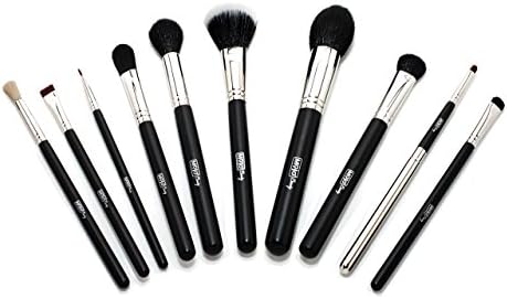 Ultima 10-Piece Professional Make-up Brush Kit