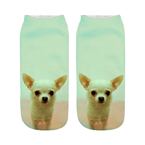 Funny Sock Laughter Chihuahua Dog Sky Print For Woman Man Boy Girl Free Size Funny Sock Laughter Chihuahua Dog Sky Print For Woman Man Boy Girl Free Size