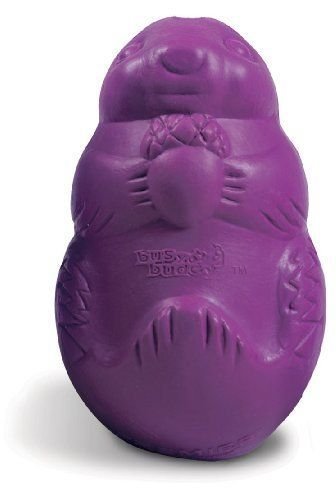 PetSafe/Premier Busy Buddy SQUIRREL DUDE Dog Treat Chew Toy Large