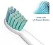 Sonicare Replacement Compact Brush Heads 20 Pack Philips Sonicare Toothbrush ProResults DiamondClean EasyClean FlexCare HealthyWhite Hydroclean PowerUp Plaque Control Gum Health by Oliver James